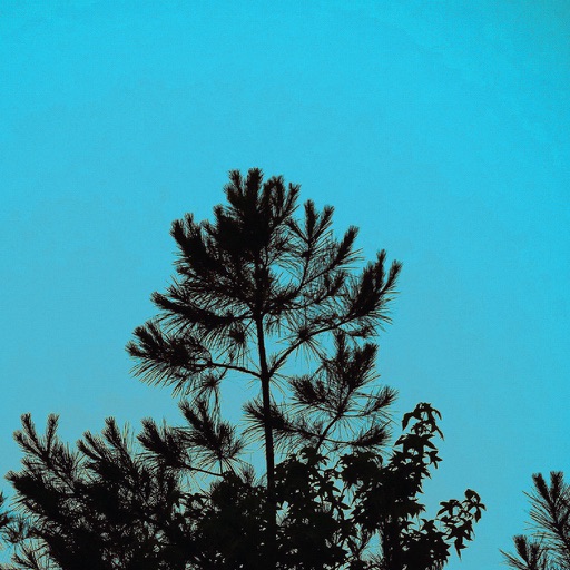Scrambled Image app icon